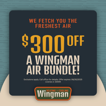 $300 off a wingman air bundle