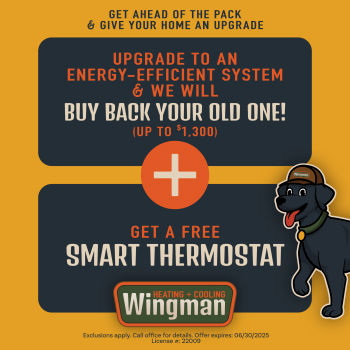 Upgrade to an Energy-efficient system & buy back old one