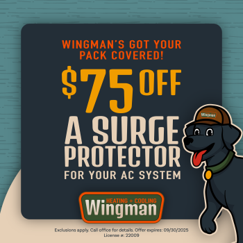$75 off surge protector