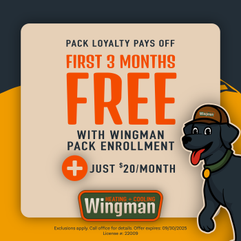 3 months free with pack enrollment