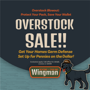 Overstock Sale!